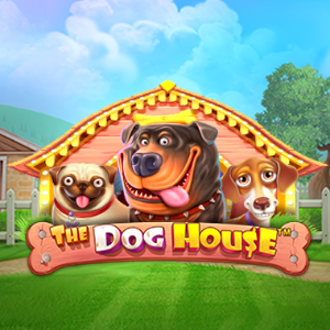 The Dog house